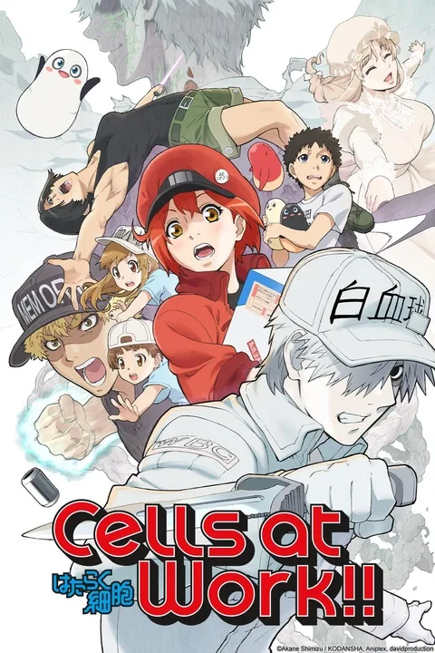 Cells at Work!
