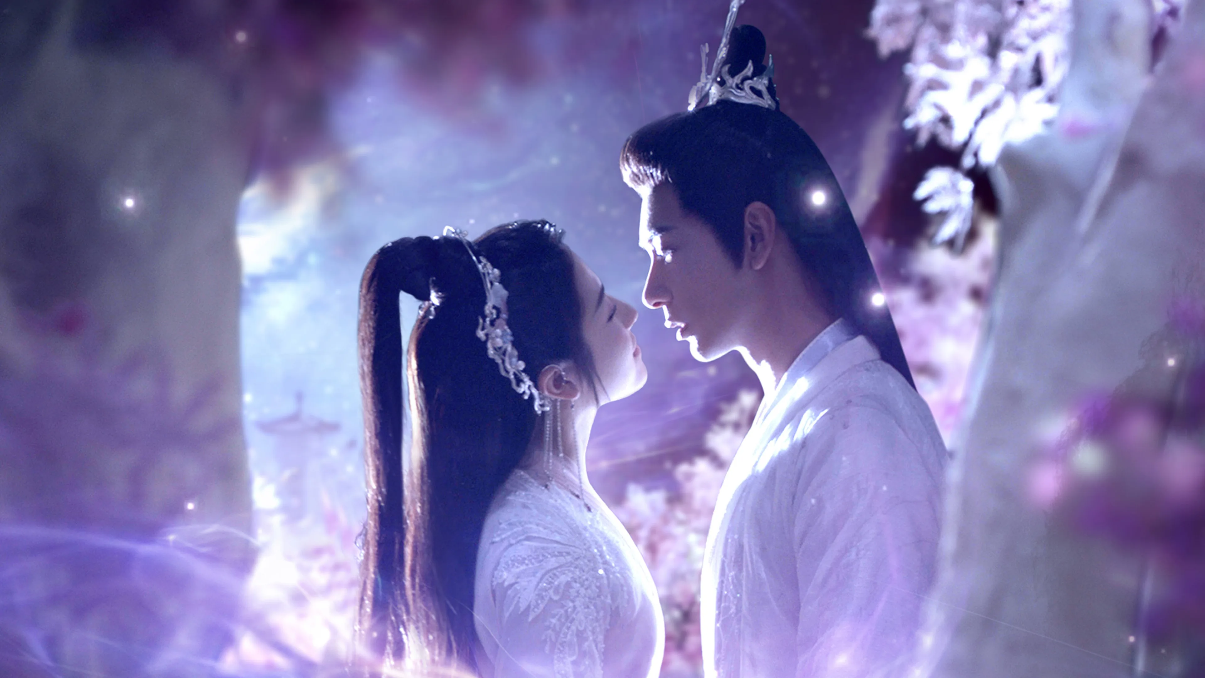 The Starry Love 2023