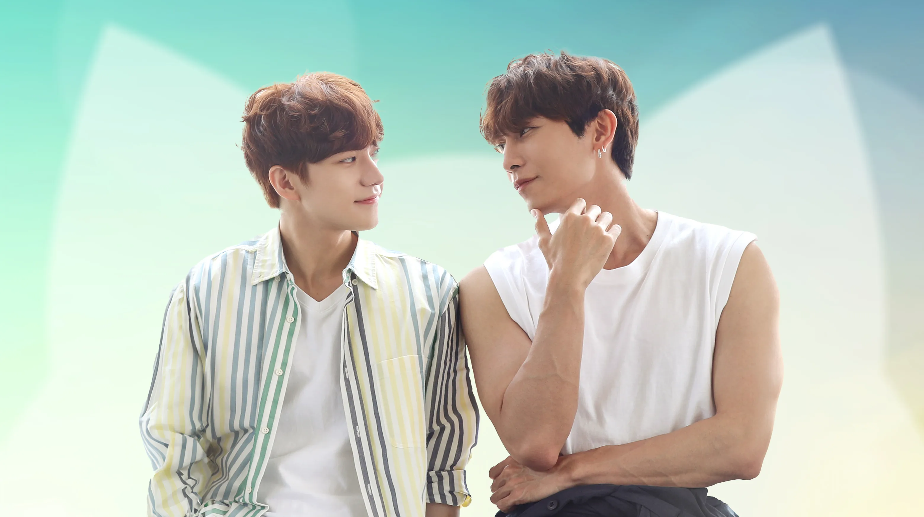 Love Is Like a Cat 2024