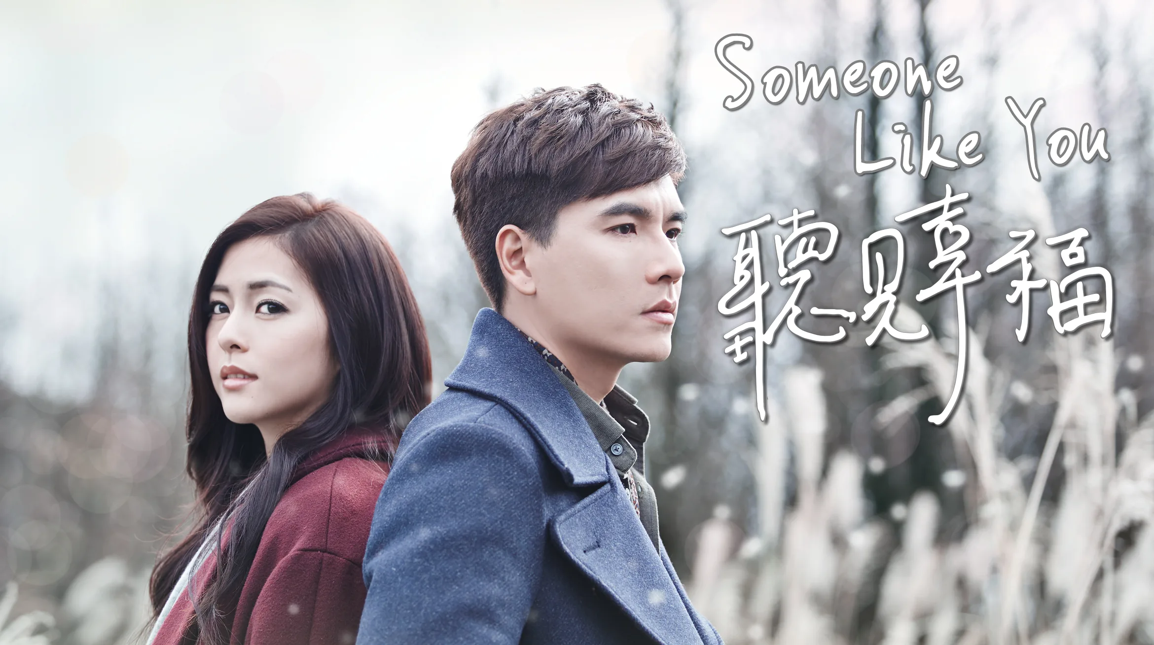Someone Like You 2015