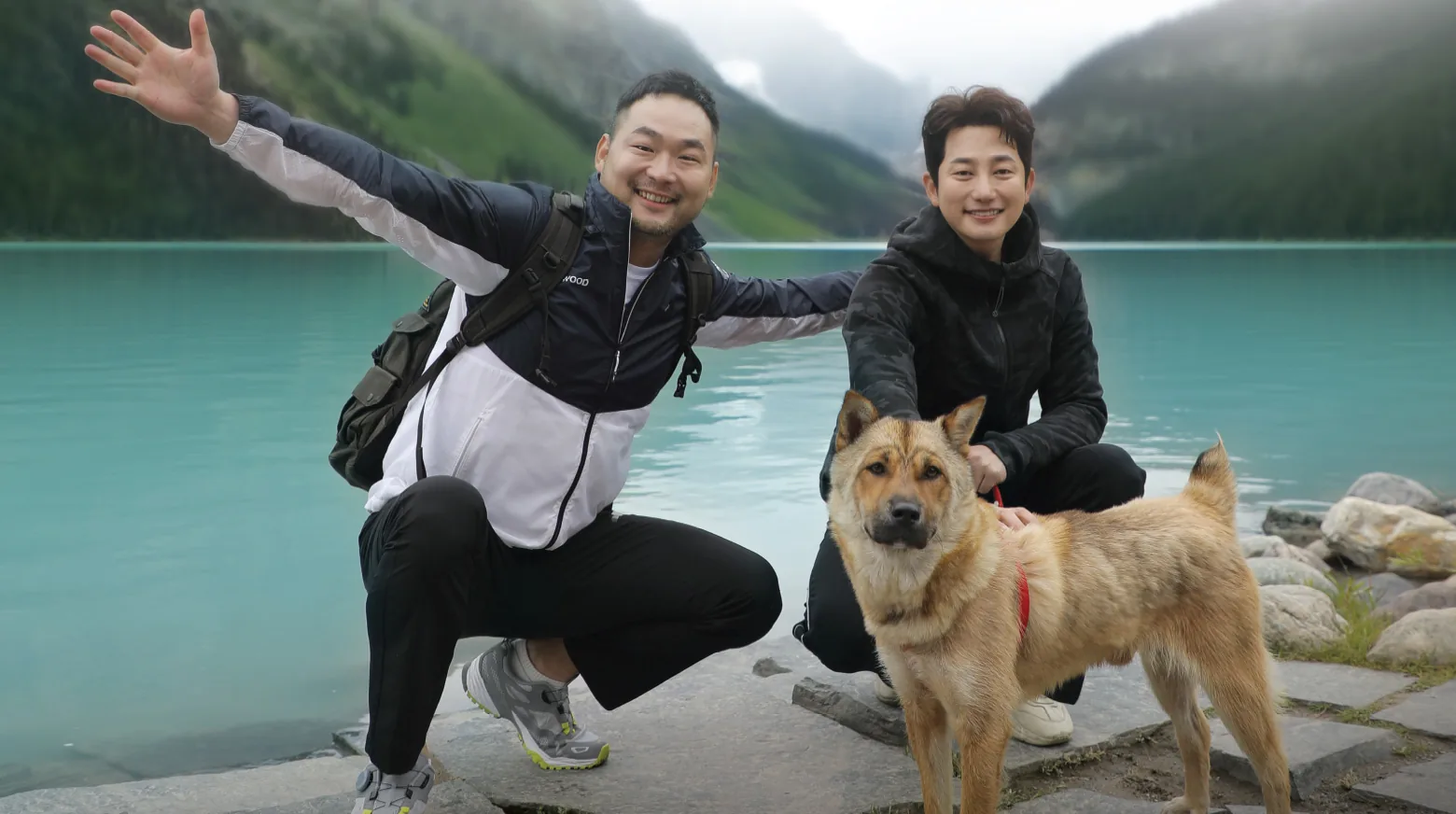 Pet And I: An unexpected journey 2019