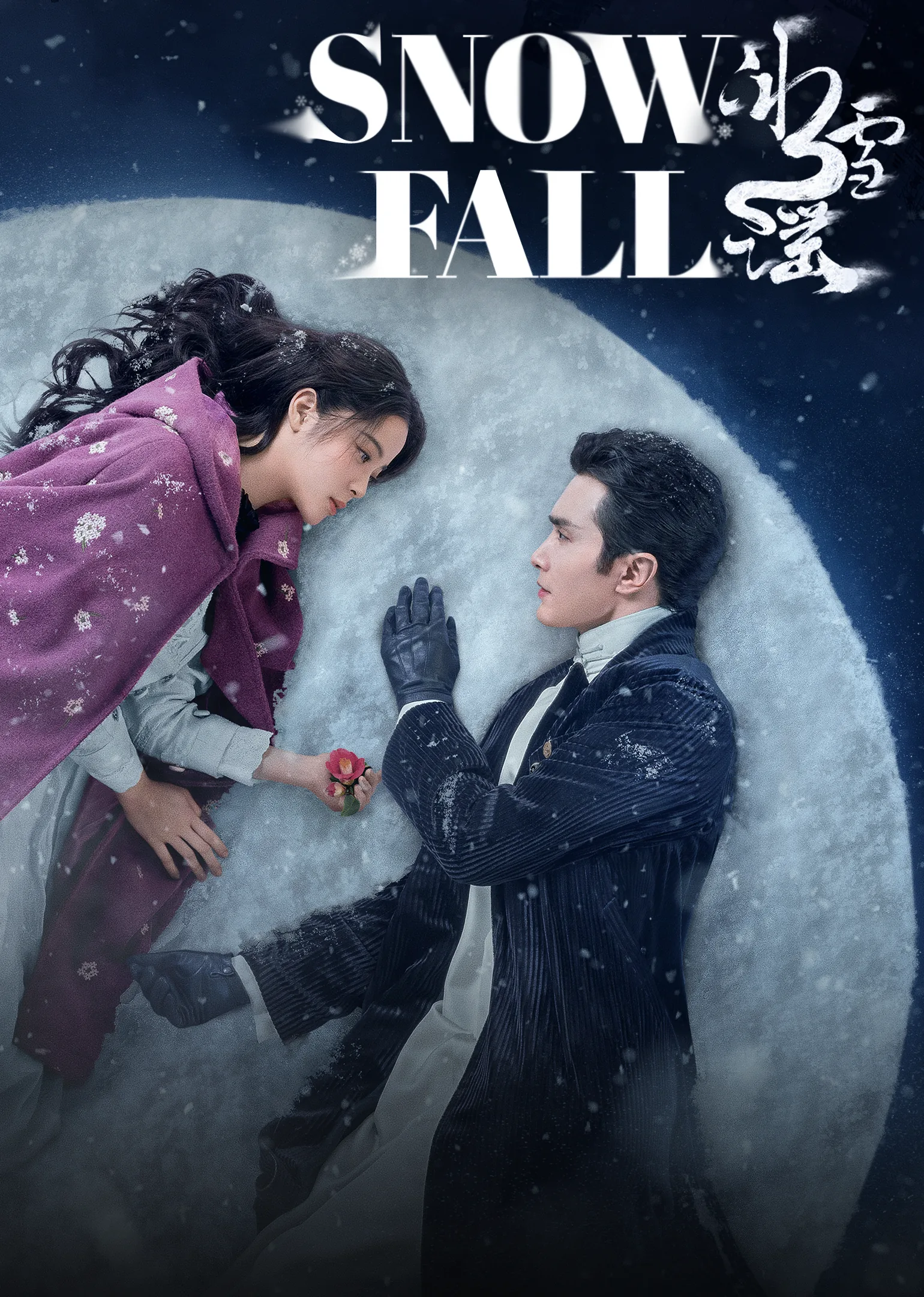 Snow Fall 2024