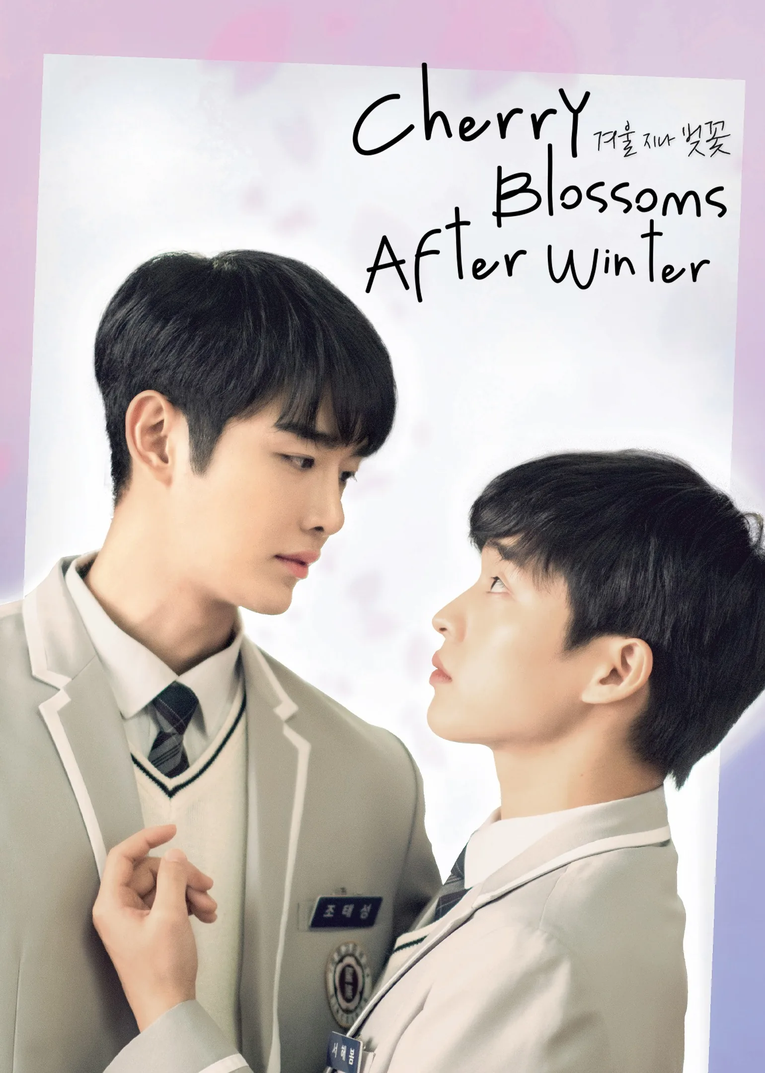 Cherry Blossoms After Winter 2022