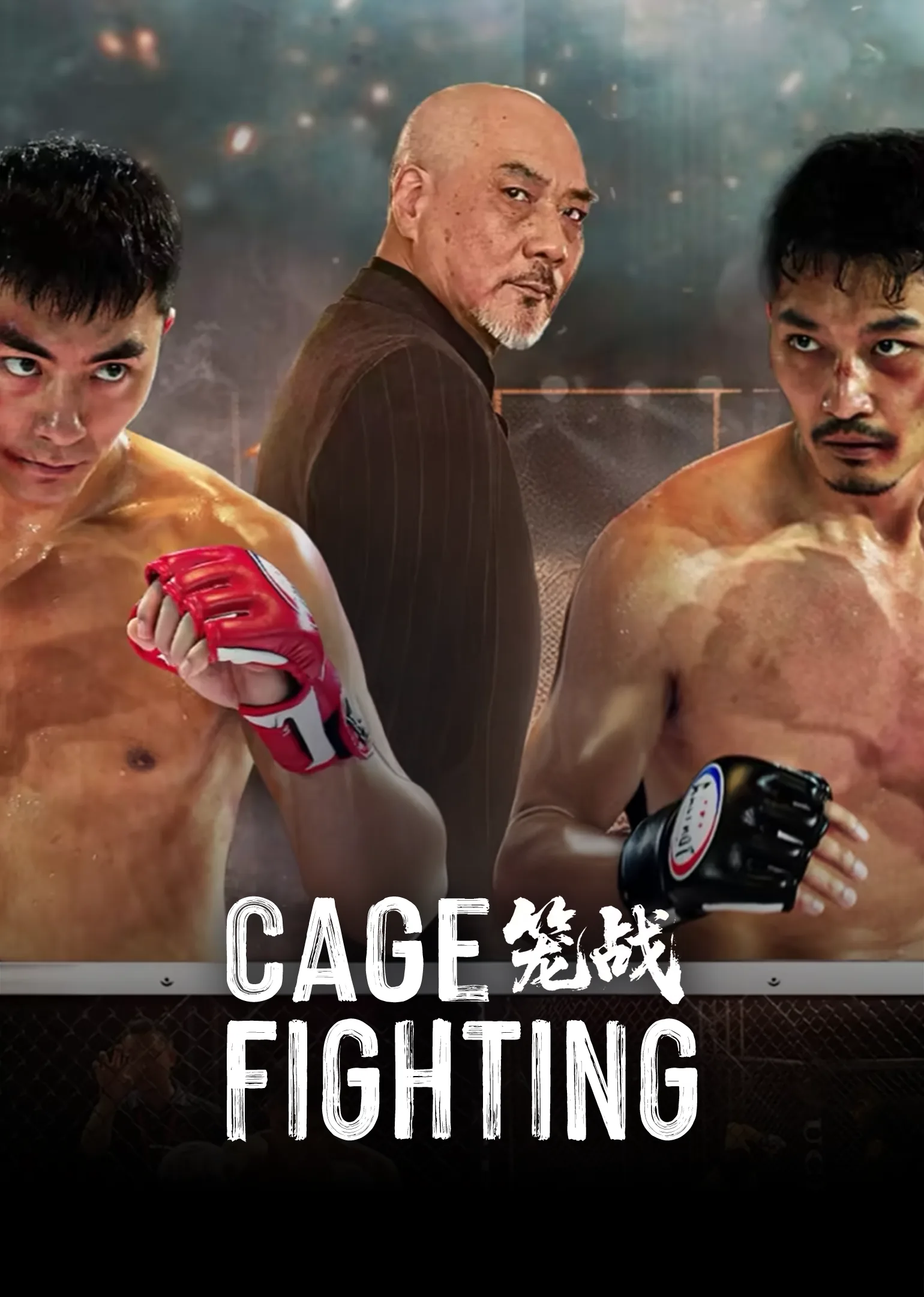 Cage Fighting 2025