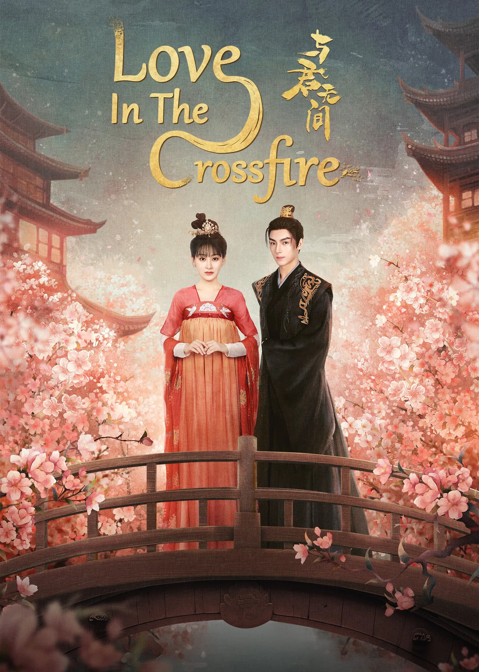Love in the Crossfire 2024