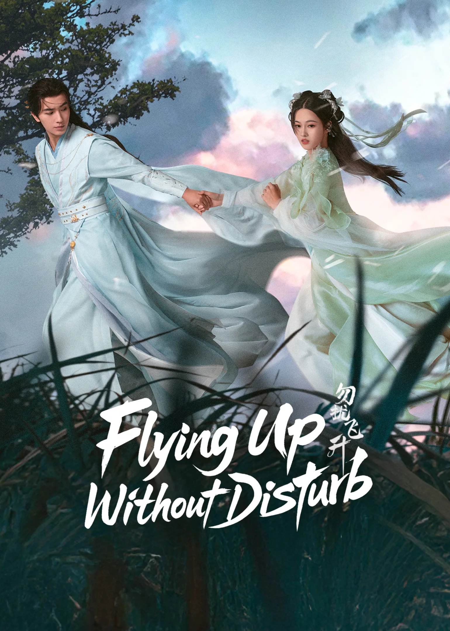 Flying Up Without Disturb 2025
