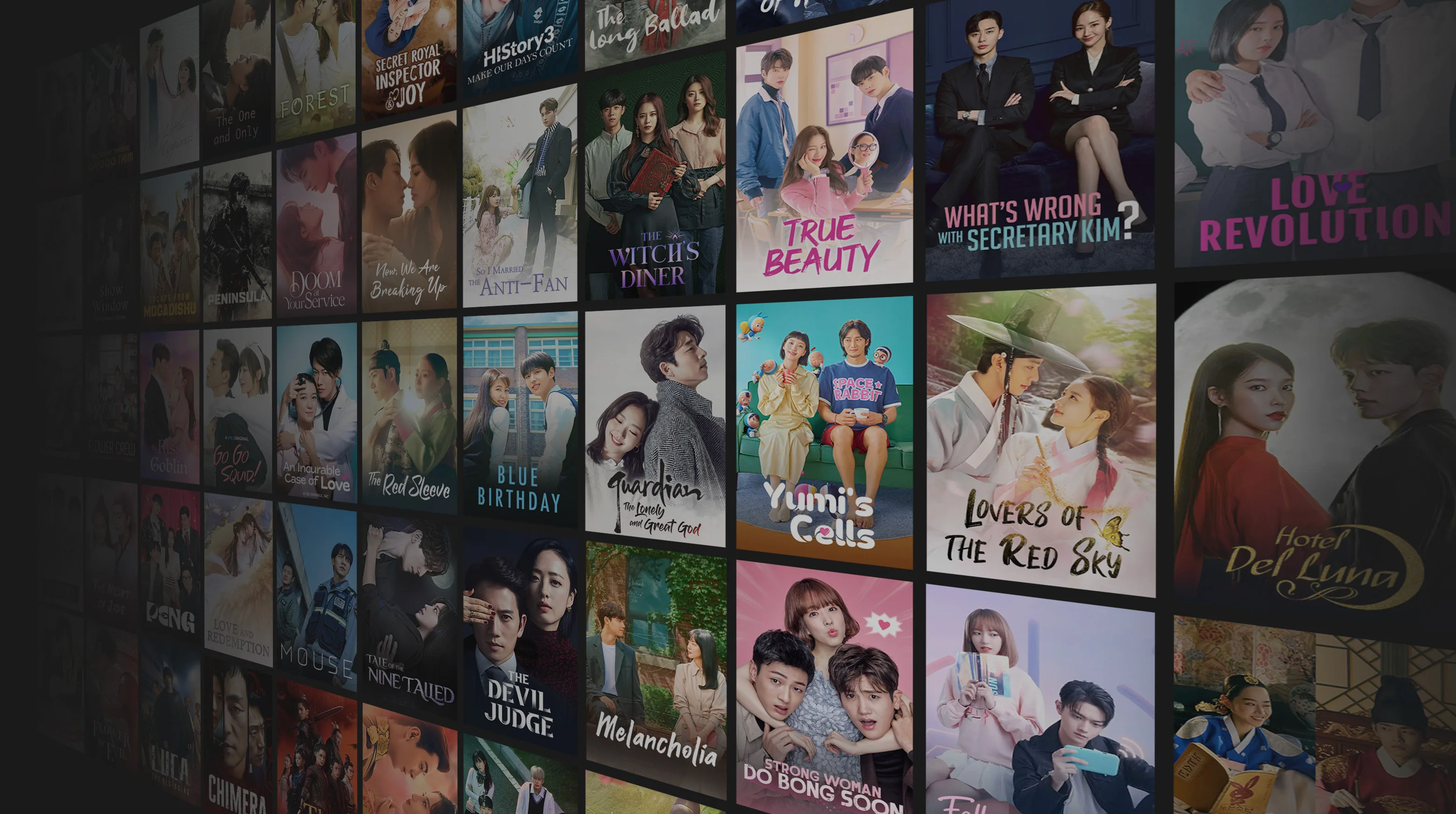 Viki Community Channel
