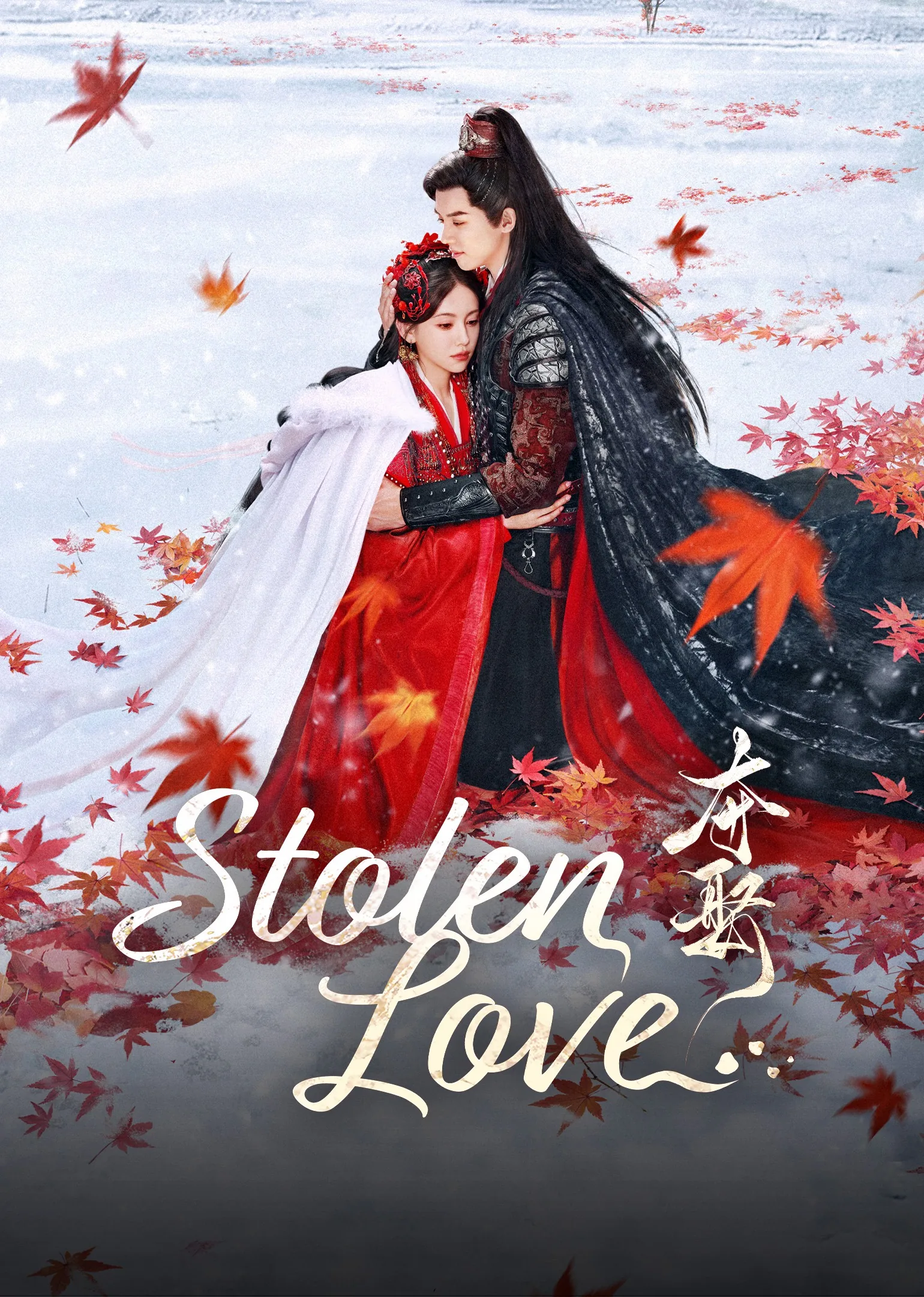 Stolen Love 2025