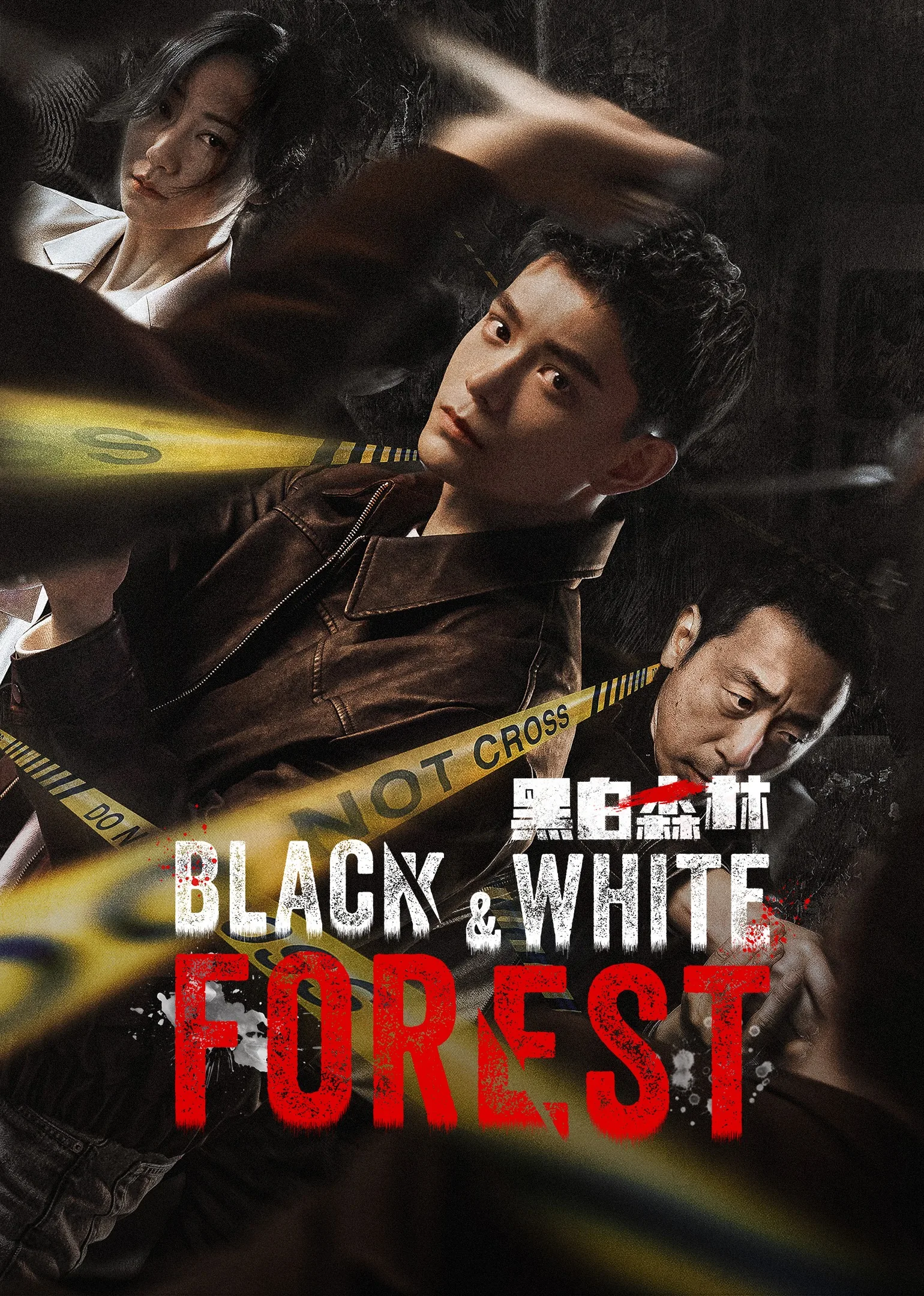 Black&White Forest 2024