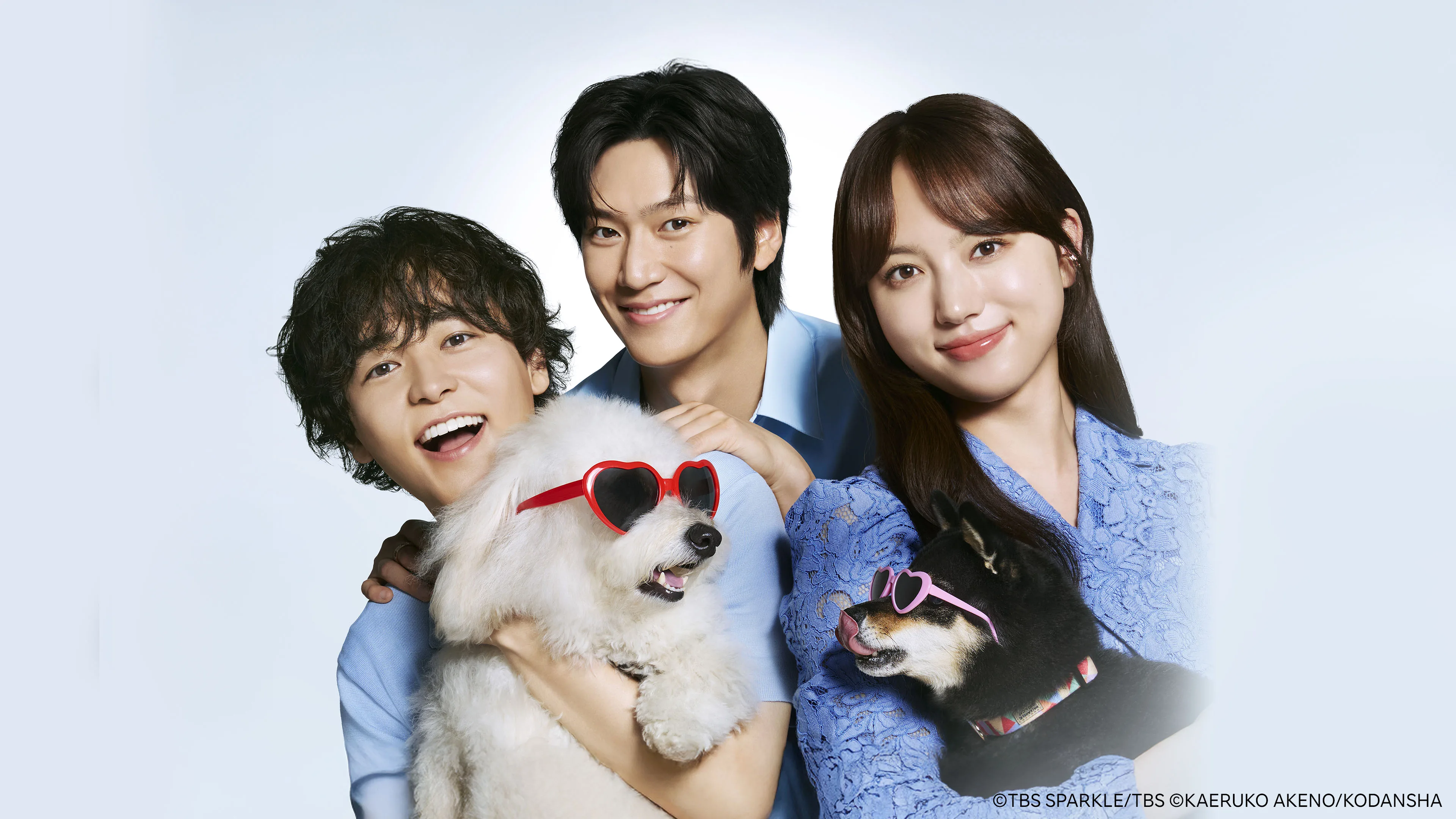 Love is for the Dogs 2025
