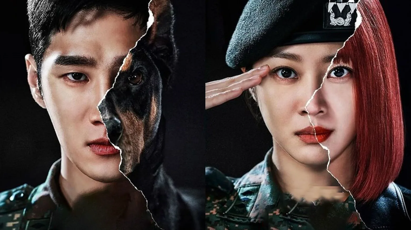 Military Prosecutor Doberman 2022