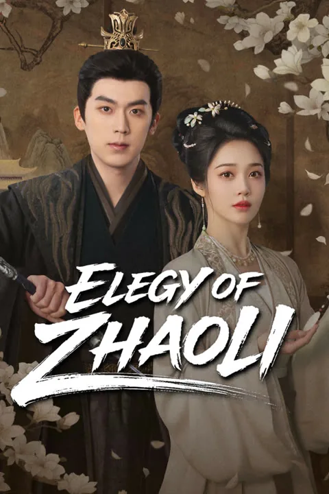 Elegy of ZhaoLi 2026