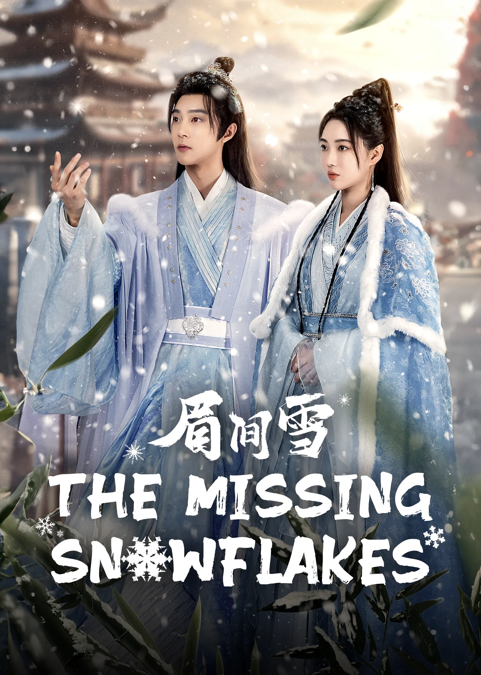 The Missing Snowflakes 2024
