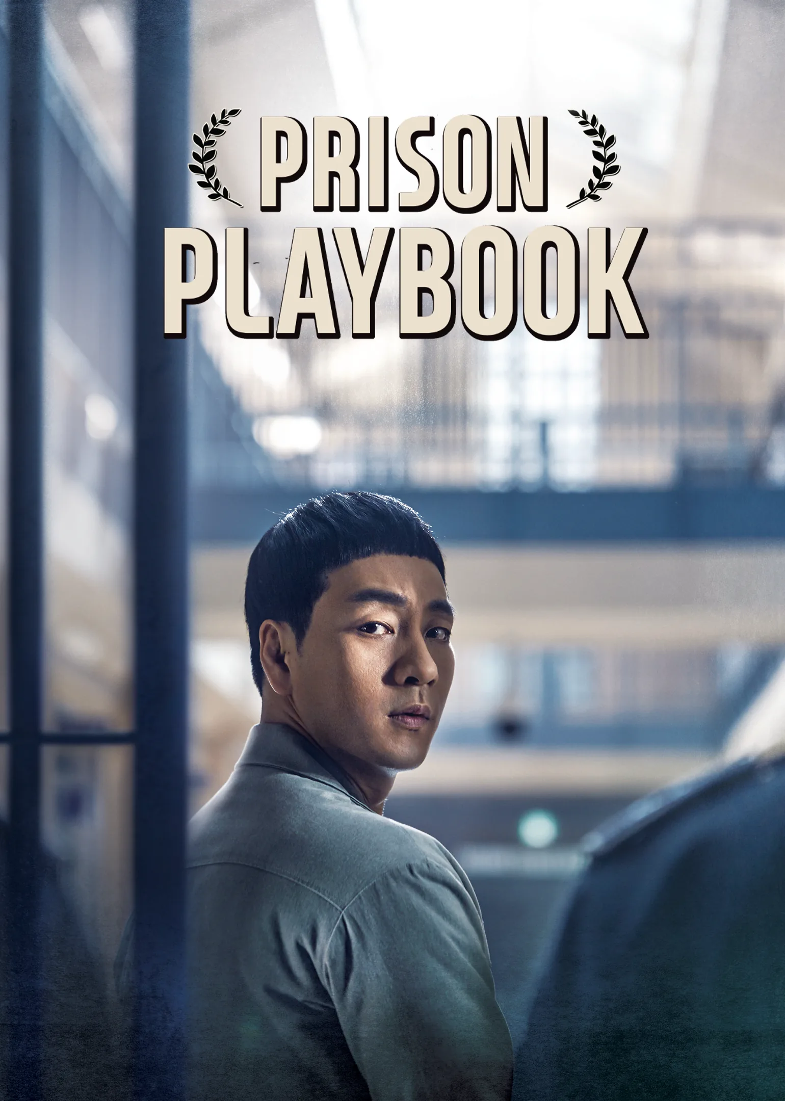 Prison Playbook 2017