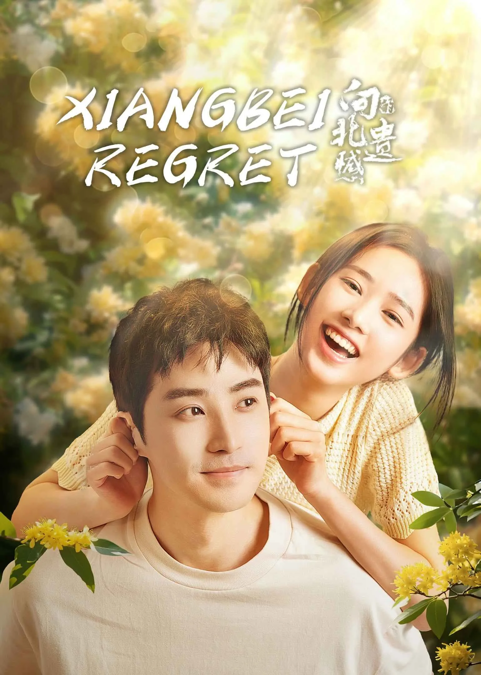 Xiangbei Regret 2024