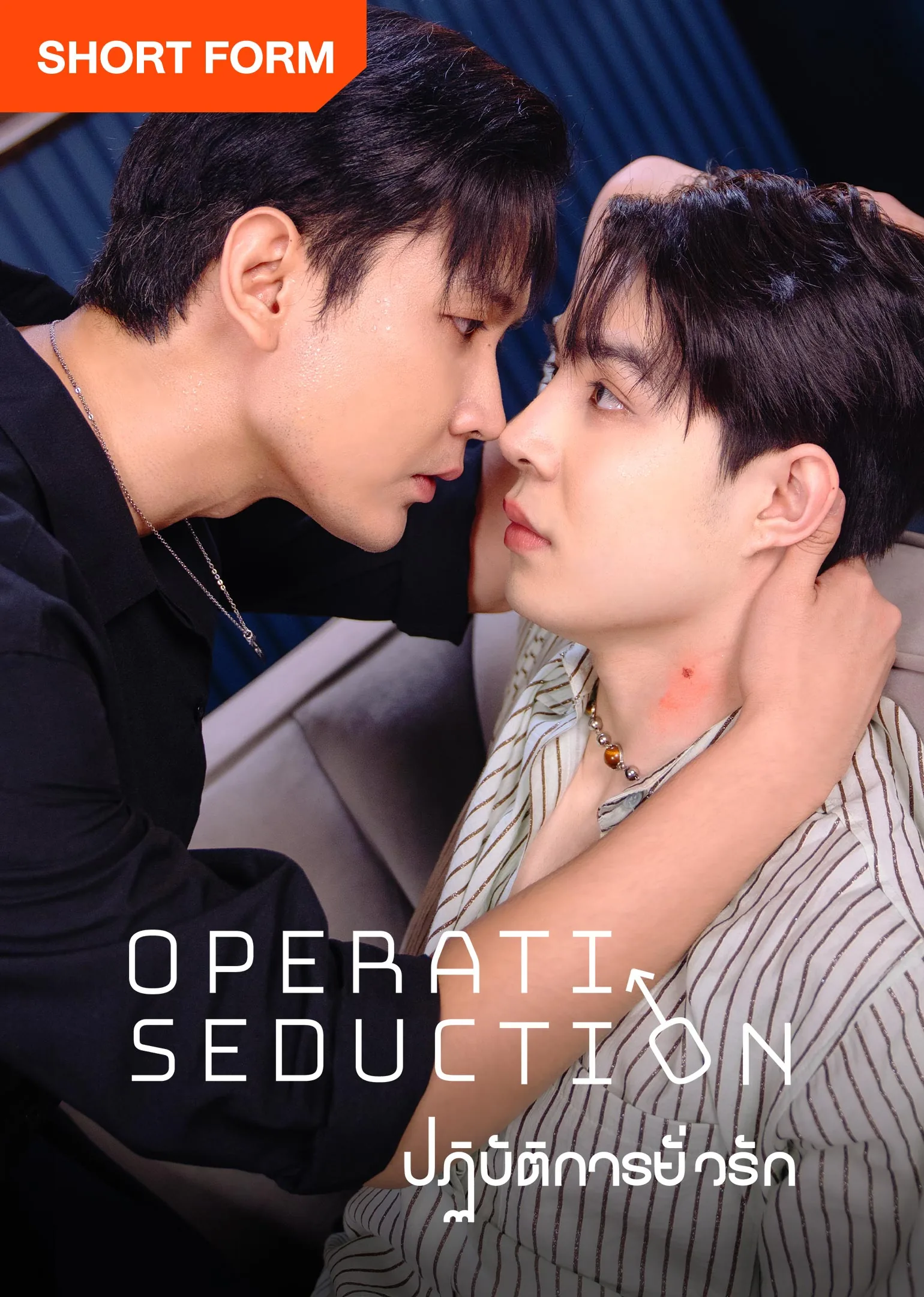 Operation Seduction 2025