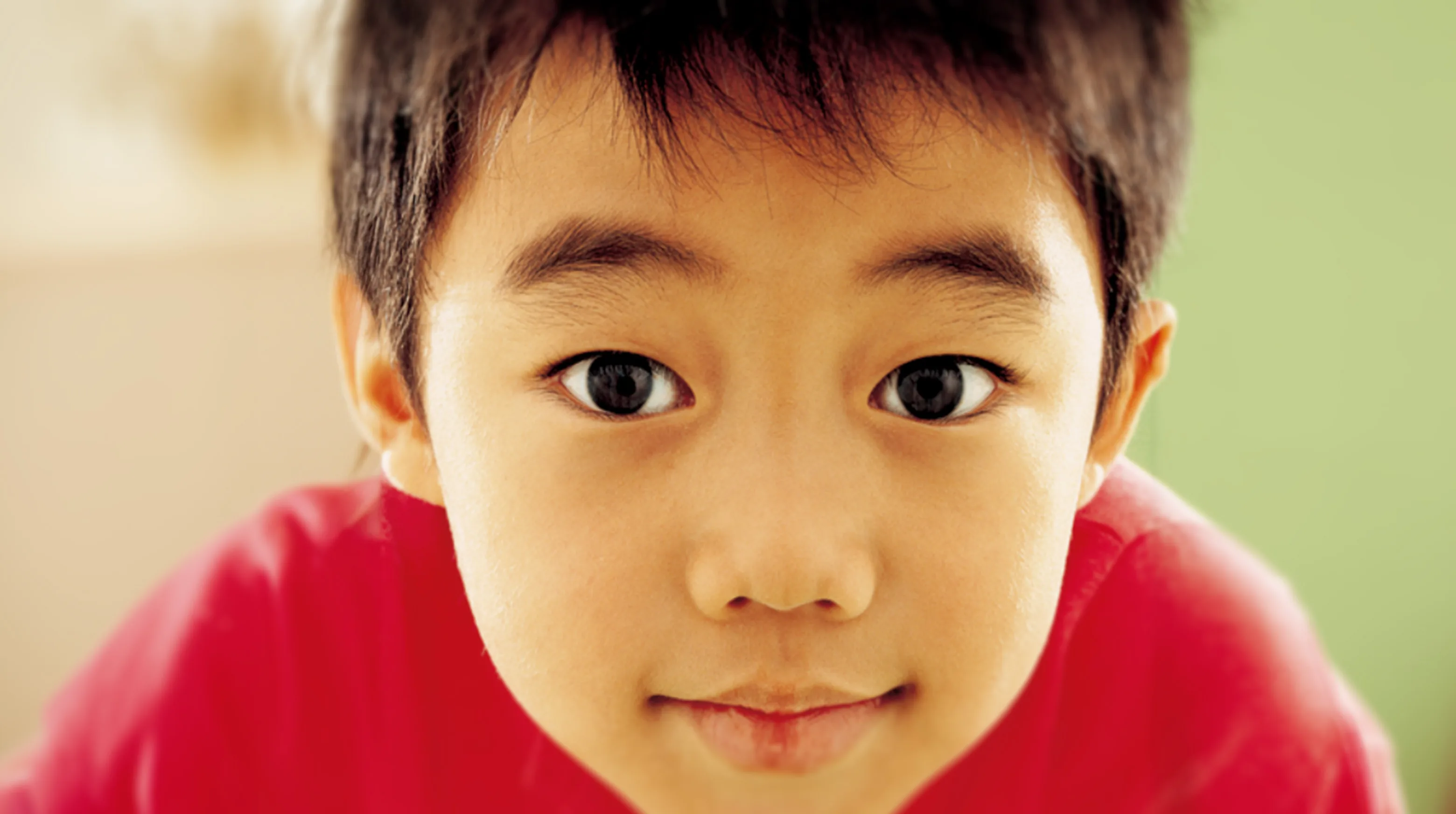 Little Brother 2005