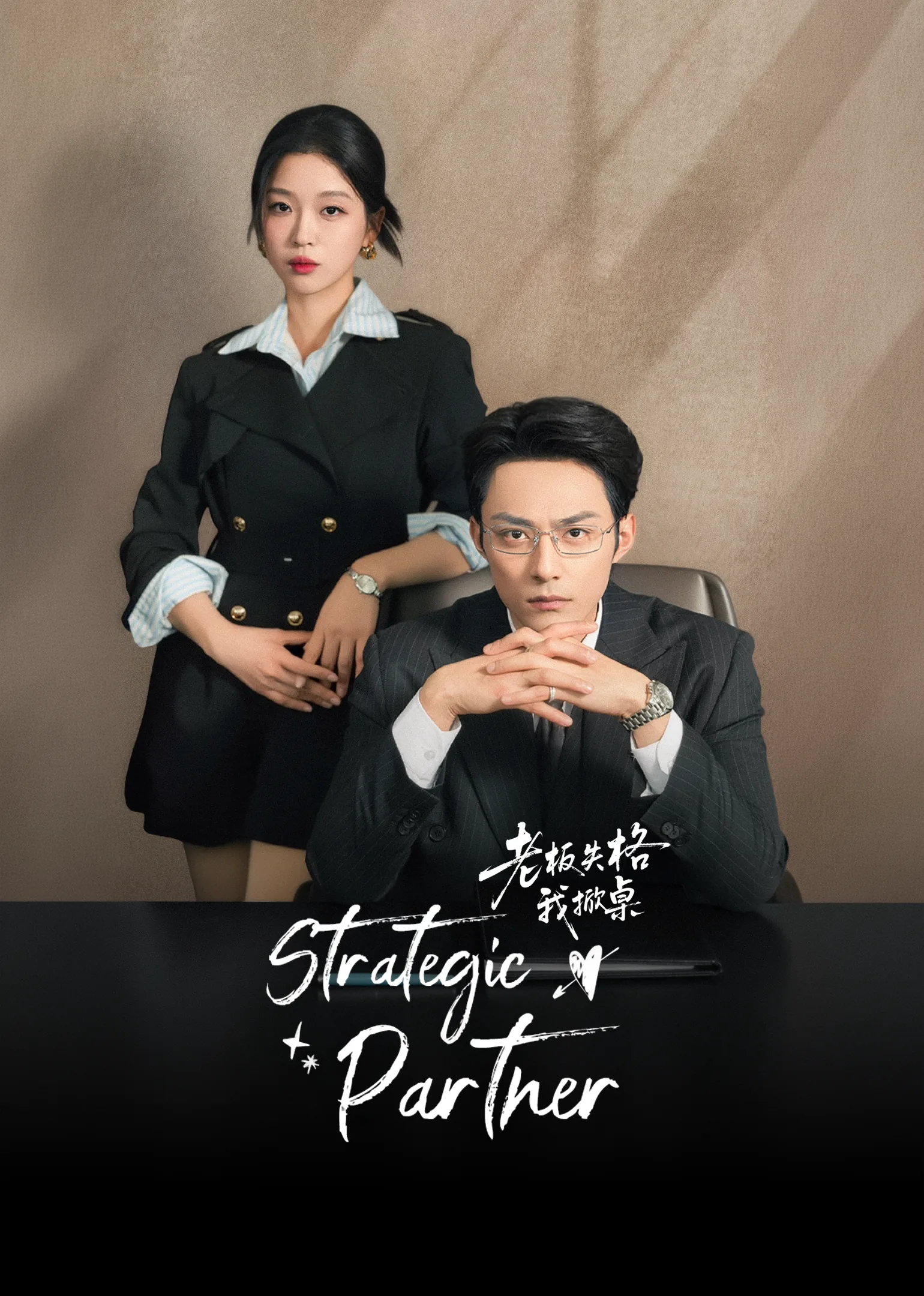 Strategic Partner 2026