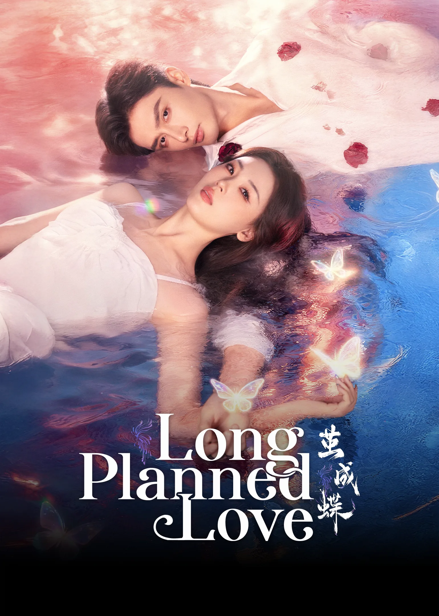 Long Planned Love 2025