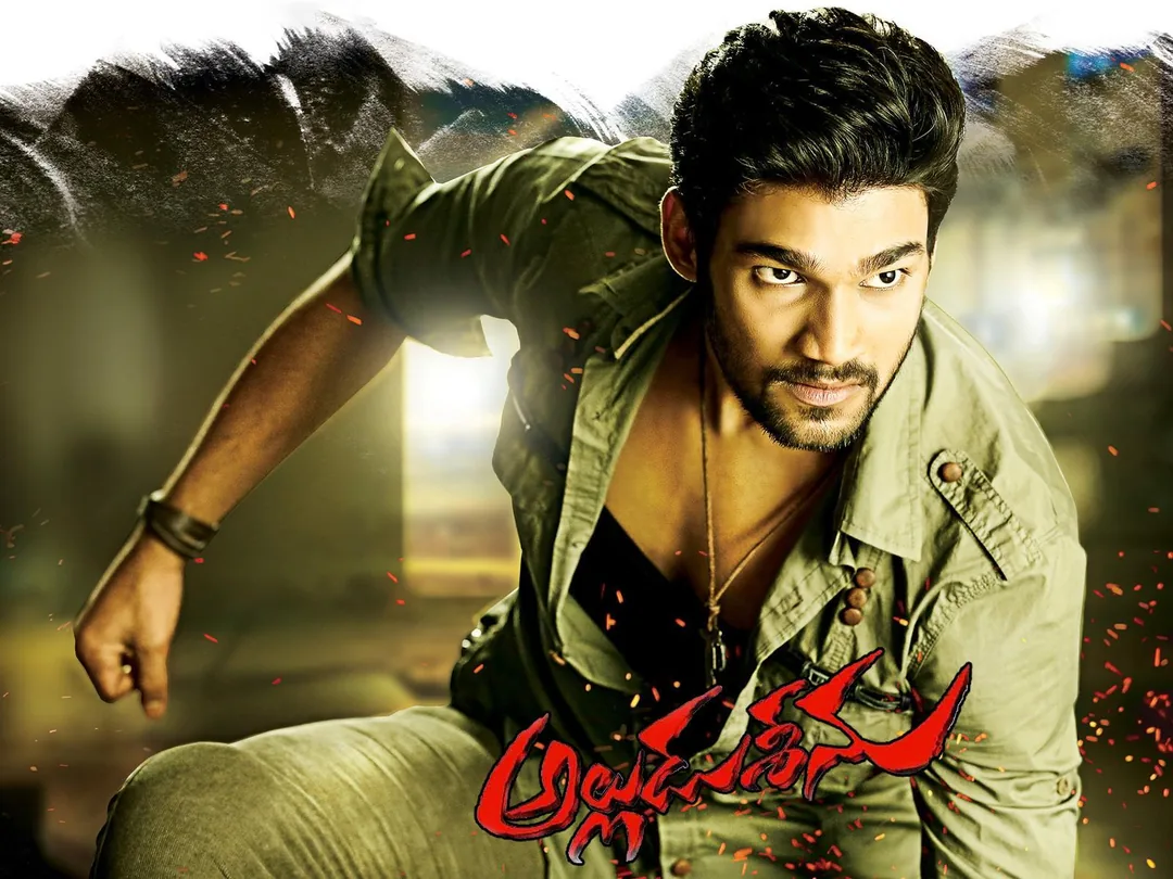 Alludu Seenu 2014