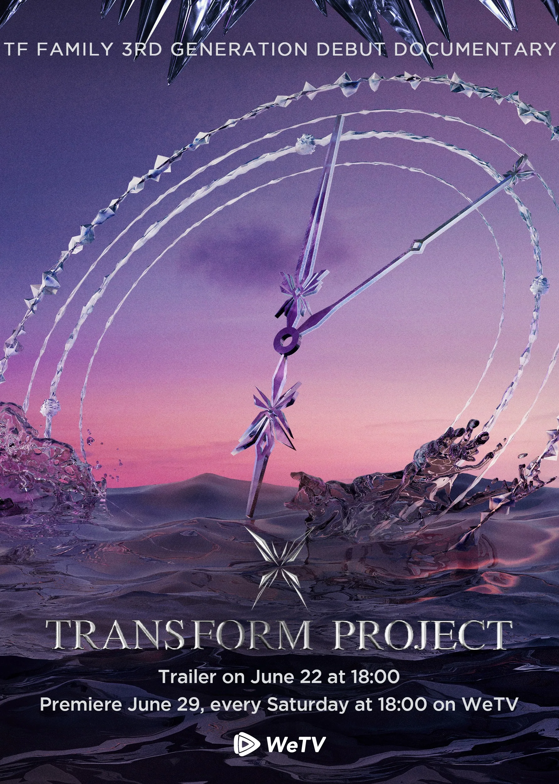 TRANSFORM PROJECT 2024