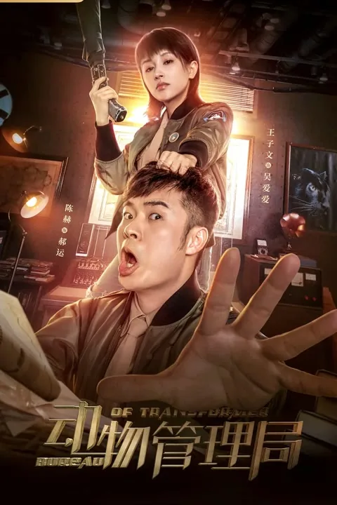 Bureau of Transformer 2019