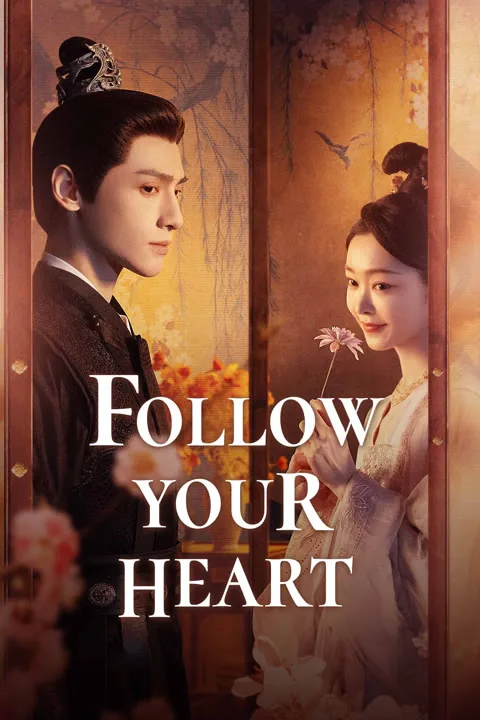 Follow your heart 2024