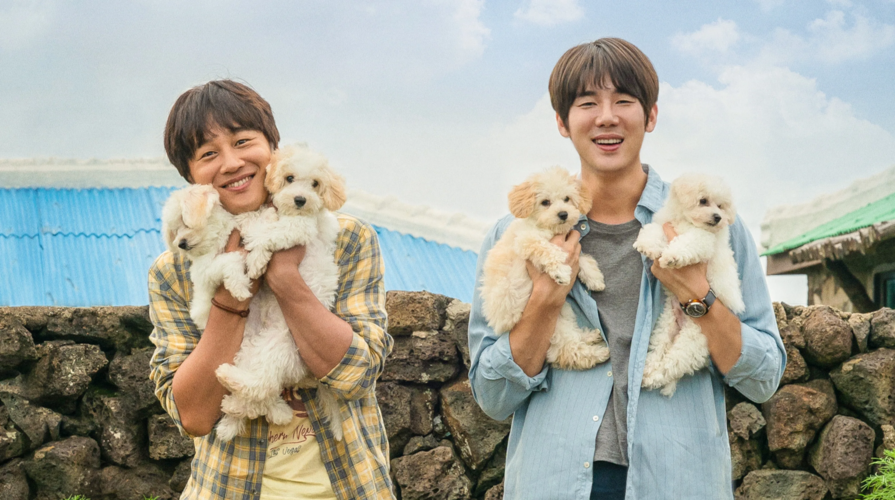 My Heart Puppy 2023